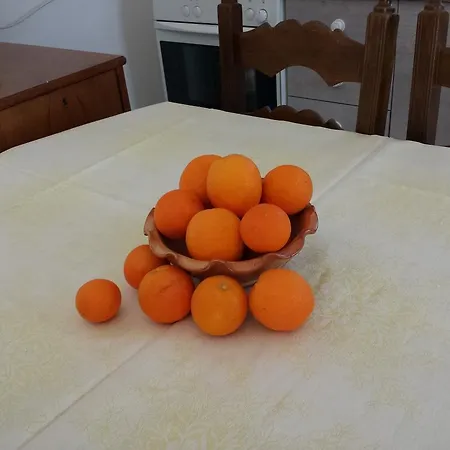 Paradise City * Loutráki