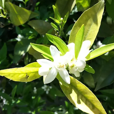 Casa di campagna Paradise City *