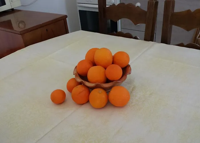 Paradise City * Loutráki