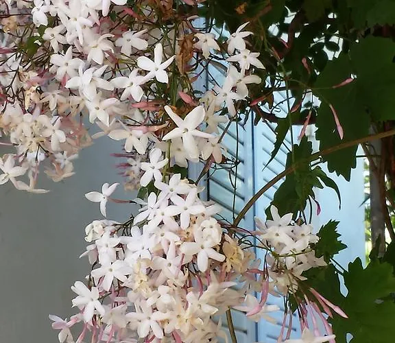 Paradise City * Loutráki