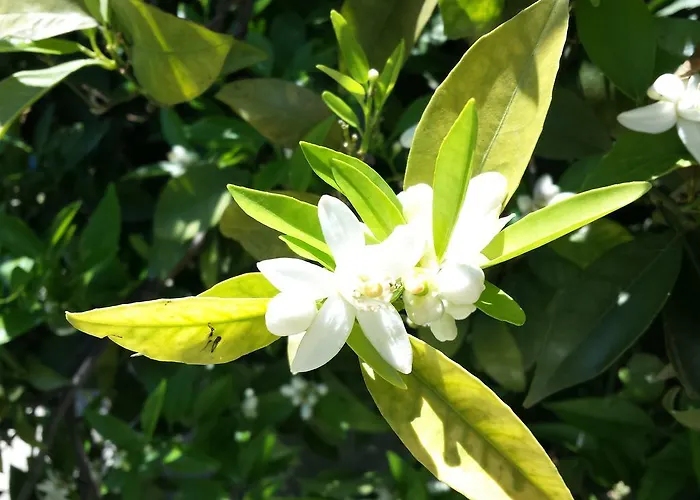 Casa rural Paradise City *